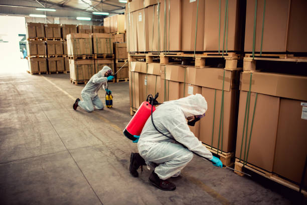 Best Bed Bug Extermination  in Pablo, MT