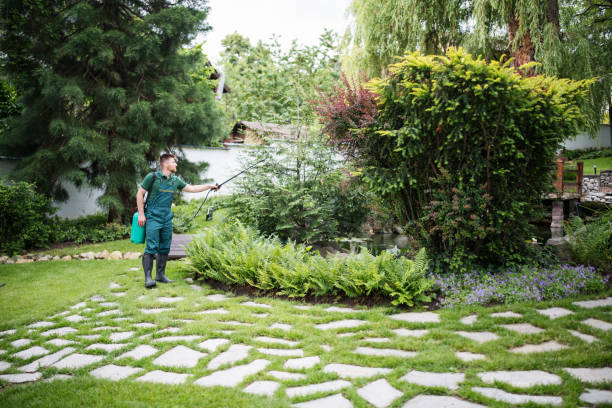 Best Mosquito Control Services  in Pablo, MT