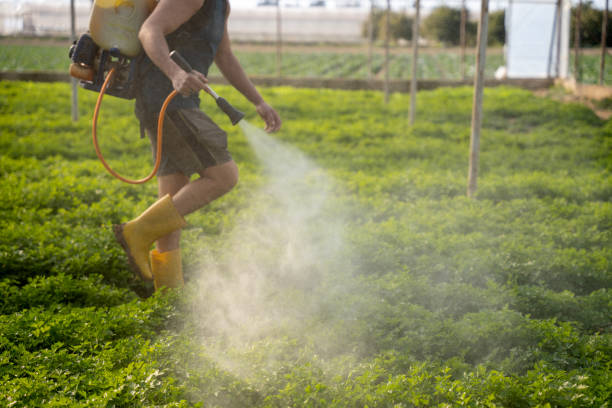 Best Commercial Pest Control Services  in Pablo, MT