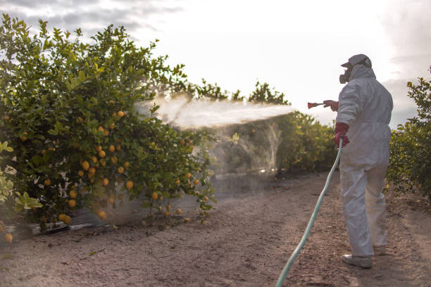 Reliable Pablo, MT Pest Control Solutions